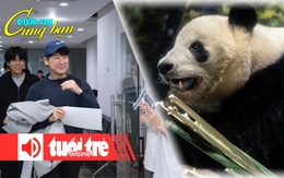 Điểm tin cùng bạn 8h: Cách quy đổi điểm TOEFL iBT mới cho du học; Nhật tiễn 2 chú gấu trúc cuối cùng