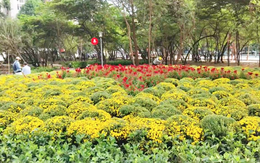 Cận cảnh công viên trên nền cũ nhà thi đấu Phan Đình Phùng TP.HCM sẽ mở cửa chiều nay 25-1