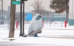 Nước Mỹ tê liệt trong trận bão tuyết mùa đông 'lịch sử'