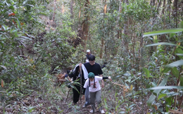 Khi mầm xanh viết tiếp bản tình ca của đất