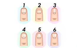 Quiz: Bạn rất nhanh trí hay là người điềm tĩnh, tháo vát