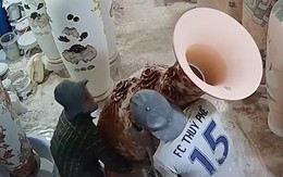 Thanh niên xanh mặt vì suýt làm vỡ bình gốm đắt tiền
