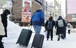 Tuyết lớn làm tê liệt sân bay ở Nhật Bản, 7.000 hành khách mắc kẹt