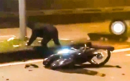 Khởi tố vụ án cùng 4 bị can liên quan đến vụ 3 người chết trên đường tại Quảng Trị