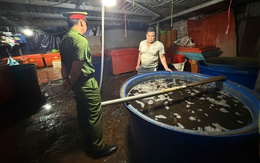 Lời khai rùng mình về 'công thức' ngâm 3.000 tấn ốc vào 500 tấn hóa chất từ chợ Kim Biên