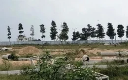 Gia Lai cảnh báo cơn sốt đất ảo ở vùng điện gió