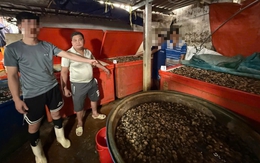 Bắt quả tang cơ sở ngâm ốc bươu với 'thủy tinh lỏng', đã tiêu thụ hàng ngàn tấn