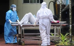 Bộ Y tế yêu cầu cách ly nghiêm ngặt ca nghi nhiễm hoặc xác định mắc vi rút Nipah