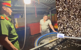 Phát hiện cơ sở dùng hóa chất công nghiệp ngâm hàng ngàn tấn thịt ốc bươu, bán khắp nơi