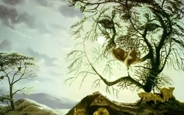 Quiz: Mọi người nói gì về bạn?