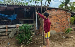 Gặp cậu học trò kịp thời cứu anh phi công nhảy dù sau vụ rơi máy bay Yak-130