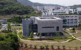 Trung Quốc có loại thuốc COVID-19 'trị' được vi rút Nipah chết người