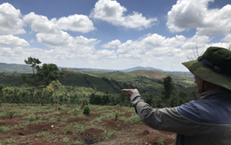 6 cựu chiến binh bị truy tố 'hủy hoại rừng' tiếp tục kêu oan tại phiên tòa sơ thẩm lần 3