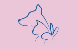 Quiz: Bạn có trách nhiệm cao hay là người tốt bụng, hào phóng