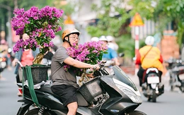 Thời tiết hôm nay 28-1: Bắc Bộ vẫn mưa rét, cao nguyên Trung Bộ và Nam Bộ ngày nắng