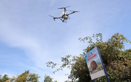 Mang ‘lộc xanh’ đến Vườn quốc gia Núi Chúa - Phước Bình