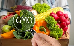 Điều kiện để sinh vật biến đổi gene được sử dụng làm thực phẩm ở Việt Nam
