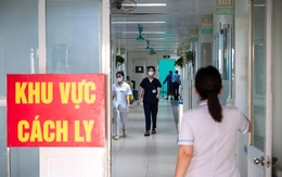 Cục Chăn nuôi và Thú y: Bệnh Nipah có thể bị lây qua heo, chó, mèo