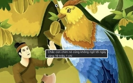 Giữa lúc giá vàng sục sôi, netizen kéo đi trồng khế, vì sao thế?