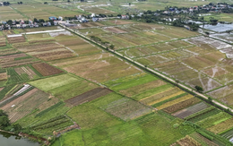 Điều tra, đánh giá đất đai chưa được các địa phương quan tâm đúng mức