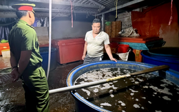 Để người tiêu dùng có thực phẩm sạch