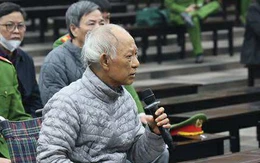 Xây tòa tháp ngàn tỉ rồi bỏ hoang, cựu tổng giám đốc Vicem 73 tuổi bị đề nghị 15-17 năm tù