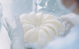 'Vàng trắng' sinh thái: Lợi thế cạnh tranh mới của Cần Giờ