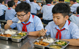 TP.HCM rà soát toàn diện bữa ăn bán trú, tăng giám sát sau vụ Sago Food