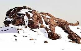 Quiz: Bạn là người rất coi trọng lời hứa và sự cam kết?