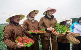 Get on Hanoi mở màn cho 'Hành trình tươi xanh 2026'