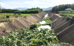 Đất chưa bàn giao thực địa đã thi công, thủy điện Sông Liên bị xử phạt