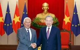 Đối tác trụ cột