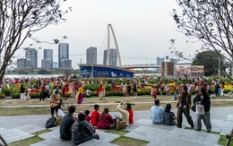 GS.TS Vũ Minh Khương: Giai đoạn vàng tạo đà cải cách