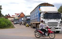 Tây Ninh tháo gỡ cho hàng chục ngàn tấn nông sản ùn ứ do vướng Nghị định 46