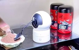 Bí kíp giúp dân nuôi cá kiểng an tâm đi chơi Tết