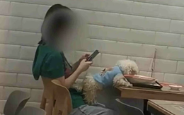 Cái kết của cô gái cho chó ăn trên đĩa ngay tại quán lẩu