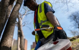 Tỉ lệ tử vong do sốc thuốc tại Mỹ giảm đáng kể có phải là thành tựu của chính quyền Trump?