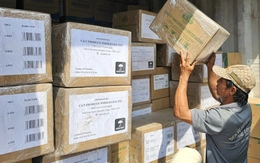 Dược liệu OCOP 5 sao Quảng Trị mở thành công đường xuất khẩu chính ngạch sang Mỹ