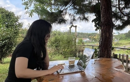 Có ai từng bị khiển trách chỉ vì không trả lời tin nhắn trong nhóm chat lúc nửa đêm chưa?