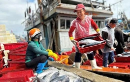 Gỡ 'nút thắt' thủy sản vào Mỹ