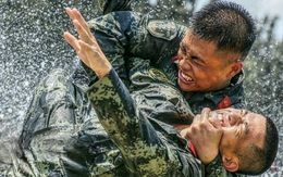 Quân thể quyền - môn võ Trung Quốc giàu thực chiến hơn kung fu