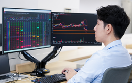 Chứng khoán Việt sẽ hấp dẫn hơn sau nâng hạng