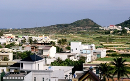 Quảng Ngãi điều chỉnh bảng giá đất, sát giá thị trường từ ngày 1-1-2026