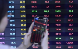 Rủi ro đằng sau sự lớn mạnh của nhóm công ty chứng khoán có hậu thuẫn ngân hàng