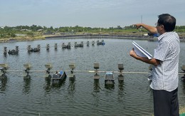 1,8ha đất đang thế chấp bỗng đổi chủ, cơ quan điều tra xử lý tố cáo một thẩm phán tại Cà Mau