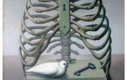 Quiz: Hé lộ bí mật nội tâm chỉ qua một ánh nhìn