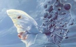 Quiz: Trong 1 giây, tính cách của bạn đã được bức tranh này 'đọc vị'