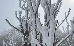 Thời tiết hôm nay 9-1: Bắc Bộ rét 5 độ C, Nam Bộ buổi sáng cũng dưới 20 độ C