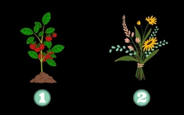 Quiz: Bạn đang ở giai đoạn nào của hành trình chăm sóc bản thân