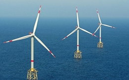 Doanh nghiệp Nhà nước được giao khảo sát dự án điện gió ngoài khơi